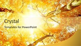  Presentation with deep - PPT theme consisting of life path - deep in a park natural background and a blonde colored foreground