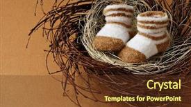  Presentation with life plan - Colorful PPT theme enhanced with life plan - cute little newborn baby booties backdrop and a tawny brown colored foreground