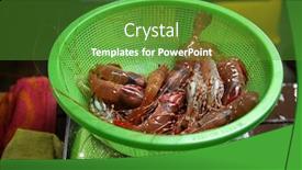  Presentation with live - Audience pleasing PPT theme consisting of life-shrimp-live-prawns-fresh backdrop and a tawny brown colored foreground
