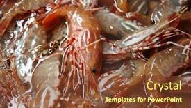  Presentation with live - Slides featuring life-shrimp-live-prawns-fresh background and a tawny brown colored foreground