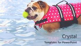  Presentation with tennis ball in the corner - Theme having life vest with a tennis background and a light blue colored foreground