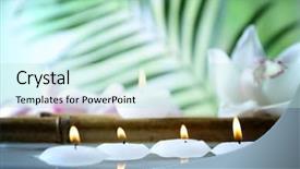  Presentation with water life - Cool new slides with life with candles in water backdrop and a soft green colored foreground