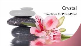  Presentation with pink white - PPT theme enhanced with life with wild pink orchid background and a white colored foreground