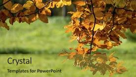  Presentation with autumn - Colorful PPT theme enhanced with lifeline - leaf in the autumn backdrop and a yellow colored foreground