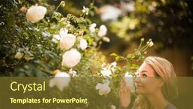  Presentation with roses - Slide deck enhanced with lifestyle-portrait-of-a-young background and a tawny brown colored foreground