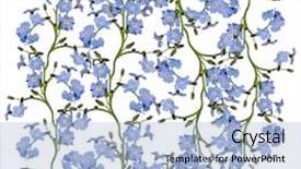  Presentation with forget - PPT theme enhanced with light blue forget-me-not background and a light blue colored foreground