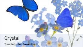  Presentation with forget - Theme featuring gym centre doing stretching fitness background and a coral colored foreground.