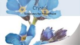  Presentation with forget - Beautiful slide deck featuring light-blue-forget backdrop and a light blue colored foreground