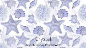  Presentation with sea animals - Presentation theme consisting of light blue seamless background from sea shell animals background and a sky blue colored foreground