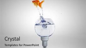  Presentation with light bulb - Beautiful PPT theme featuring light bulb filled with water backdrop and a light gray colored foreground