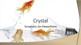 Presentation with goldfish jumping out - Cool new slides with light bulb free - goldfish leaping backdrop and a white colored foreground