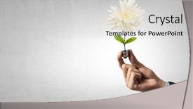  Presentation with light bulb - Theme consisting of light bulb in businessman hand background and a light gray colored foreground