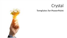  Presentation with sprout - Presentation design enhanced with light bulb in businessman hand background and a white colored foreground