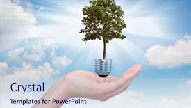  Presentation with growing tree - PPT layouts enhanced with light bulb in hand green background and a lemonade colored foreground