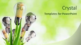  Presentation with light bulb - Colorful PPT theme enhanced with light bulb with banknotes backdrop and a mint green colored foreground