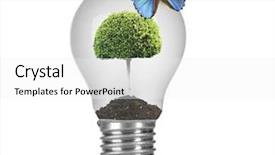  Presentation with light green moving - Beautiful presentation theme featuring light bulb with green tree backdrop and a white colored foreground