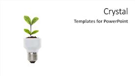  Presentation with light bulb - Audience pleasing presentation theme consisting of light bulb with sprout mixed backdrop and a  colored foreground