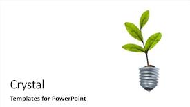 Presentation with light bulb or lightbulb - Beautiful theme featuring light bulb with sprout mixed backdrop and a white colored foreground