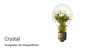  Presentation with sprout - Amazing slide deck having light bulb with sprout mixed backdrop and a white colored foreground