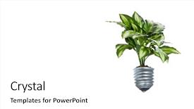  Presentation with light bulb - Slide set consisting of light bulb with sprout mixed background and a white colored foreground