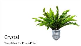  Presentation with light bulb - Amazing presentation design having light bulb with sprout mixed backdrop and a white colored foreground