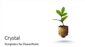  Presentation with sprout - Amazing theme having light bulb with sprout mixed backdrop and a white colored foreground