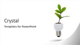  Presentation with light bulb - Slides having light bulb with sprout mixed background and a white colored foreground