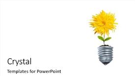  Presentation with light bulb or lightbulb - Cool new theme with light bulb with sprout mixed backdrop and a white colored foreground