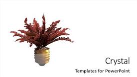  Presentation with light bulb - Amazing slide deck having light bulb with sprout mixed backdrop and a white colored foreground