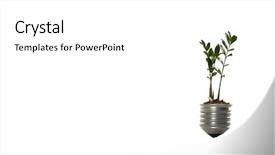  Presentation with sprout - PPT theme having light bulb with sprout mixed background and a white colored foreground
