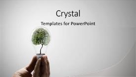  Presentation with light bulb or lightbulb - Theme having light bulb with tree inside background and a light gray colored foreground