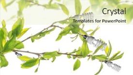  Presentation with eco friendly energy - Slide deck featuring light bulbs growing on tree background and a soft green colored foreground