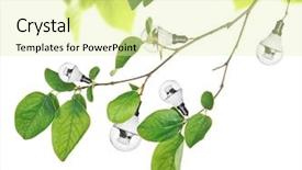  Presentation with eco friendly energy - Amazing theme having light bulbs growing on tree backdrop and a blonde colored foreground