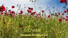  Presentation with rural tourism concept - Slides with light-clouds-and-warm-sun background and a tawny brown colored foreground