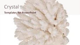  Presentation with coral - PPT theme consisting of light-coral-isolated-on-white background and a lemonade colored foreground