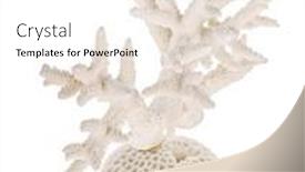  Presentation with coral - PPT theme enhanced with light-coral-isolated-on-white background and a white colored foreground