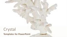  Presentation with coral - PPT layouts with light-coral-isolated-on-white background and a cream colored foreground