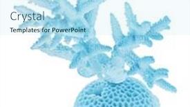  Presentation with coral - Presentation consisting of light-coral-isolated-on-white background and a cool aqua colored foreground