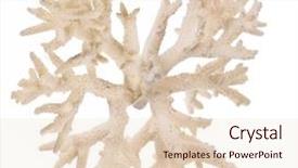  Presentation with history earth globe isolated white - Colorful presentation theme enhanced with light coral isolated on white backdrop and a lemonade colored foreground