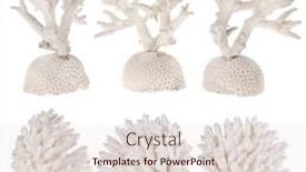  Presentation with light - Amazing theme having light-corals-isolated-on-white backdrop and a lemonade colored foreground