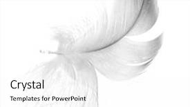  Presentation with feather - PPT theme having light feather isolated on white background and a white colored foreground