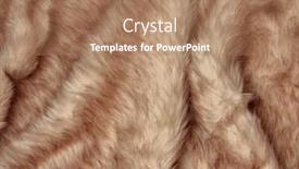  Presentation with wolf - Cool new slide deck with light-fur-background-polar-wolf backdrop and a coral colored foreground