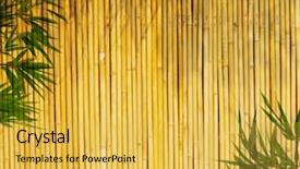  Presentation with golden light - Colorful theme enhanced with light golden bamboo background great for any project frame of bamboo-leaves background backdrop and a yellow colored foreground
