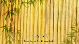  Presentation with golden light - Slides enhanced with light golden bamboo background great for any project frame of bamboo-leaves background background and a yellow colored foreground