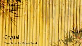  Presentation with golden light - Colorful PPT layouts enhanced with light golden bamboo background great for any project frame of bamboo-leaves background backdrop and a yellow colored foreground