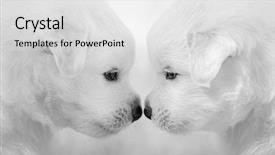  Presentation with black light - Slide set consisting of light gray background black background and a  colored foreground