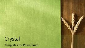  Presentation with ears - Theme having light green - ears of wheat on wooden background and a yellow colored foreground