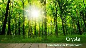  Presentation with wood - PPT theme featuring light green - wood textured backgrounds background and a tawny brown colored foreground