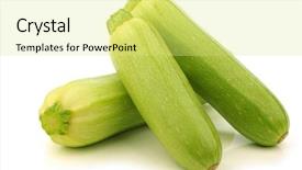 Presentation with light green - Audience pleasing PPT layouts consisting of light green zucchini cucurbita pepo backdrop and a  colored foreground