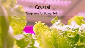  Presentation with agriculture technology - Colorful presentation design enhanced with light indoor farm agriculture technology backdrop and a lemonade colored foreground